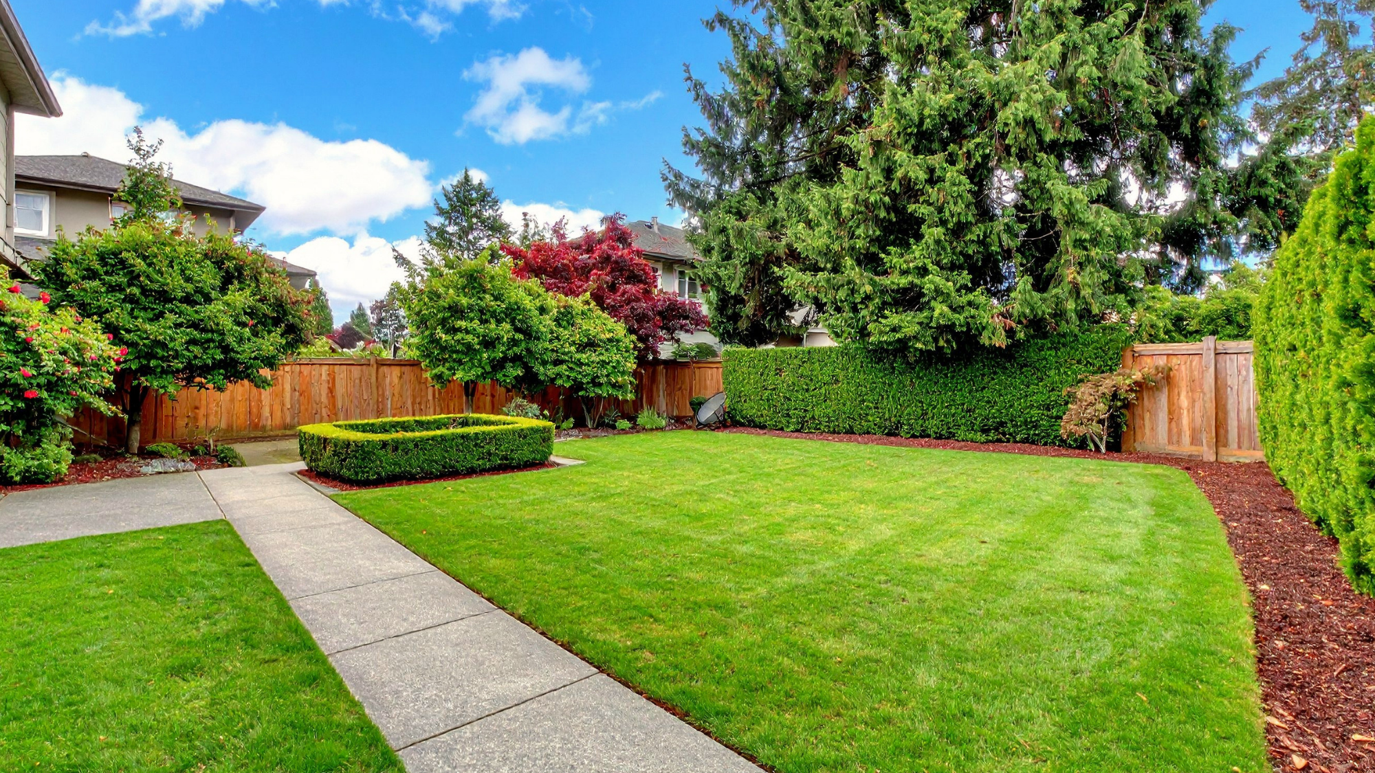 clean backyard after backyard cleanout
